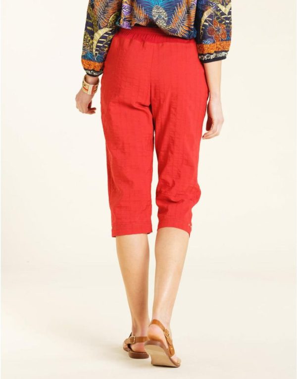 Threadnorth.shop3c4ae2d239 2