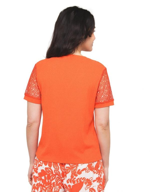 Threadnorth.shop63c69e94f2 2