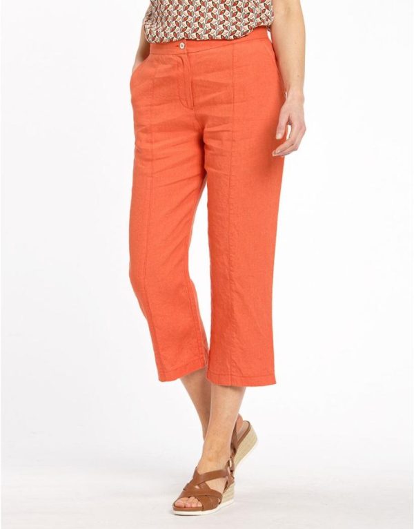 Threadnorth.shop9a3d36242e 1