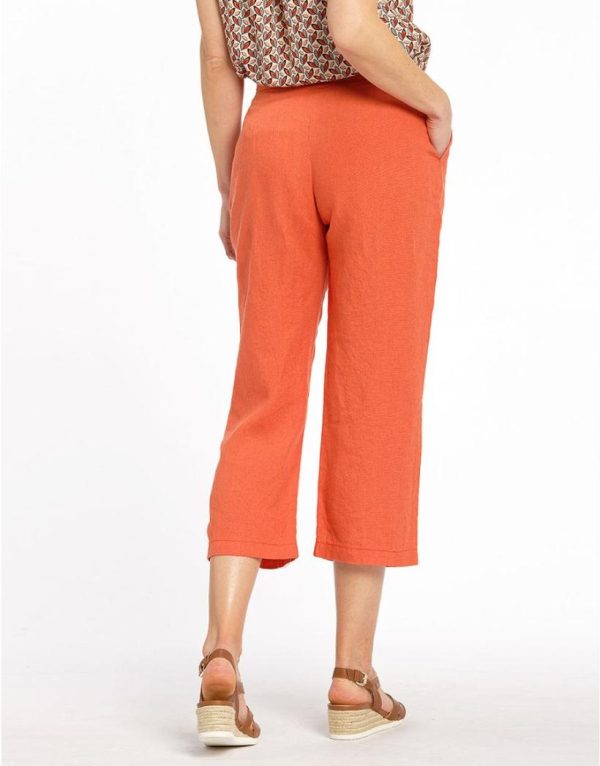 Threadnorth.shop9a3d36242e 2