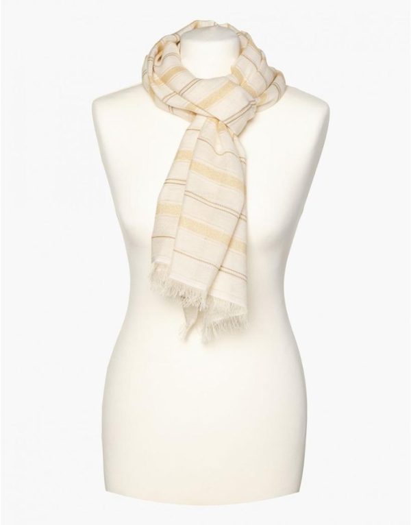 Threadnorth.shopb7854bdc92 1